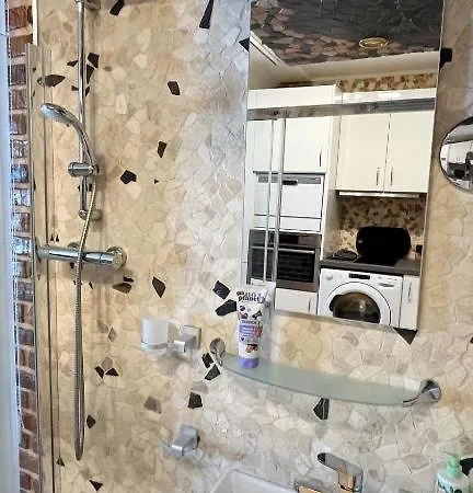 Apartament Vezicka U Vridla Karlowe Wary